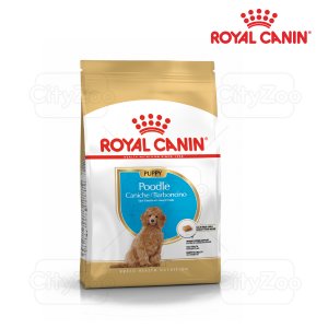 ROYAL CANIN POODLE PUPPY